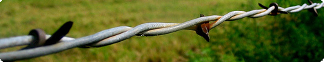An Image Slideshow