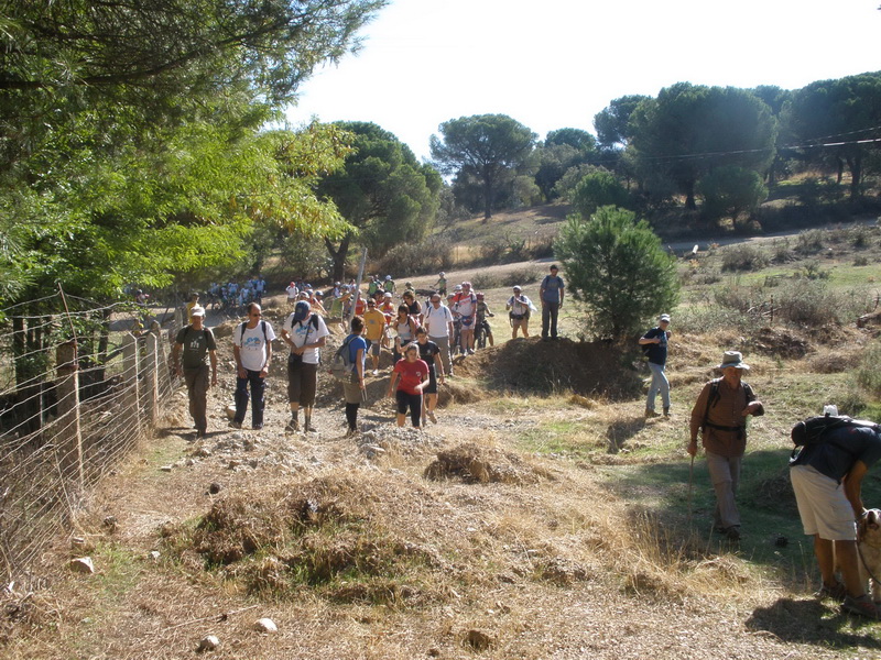 Camino de Villa Alicia y Vereda de la Pasada del Pino