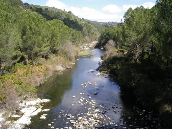 guadiato