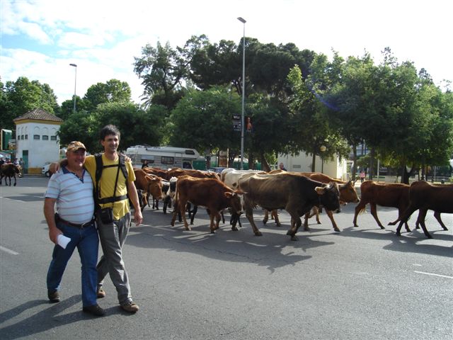 vacas02