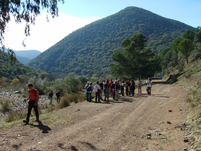 GUADIATO06