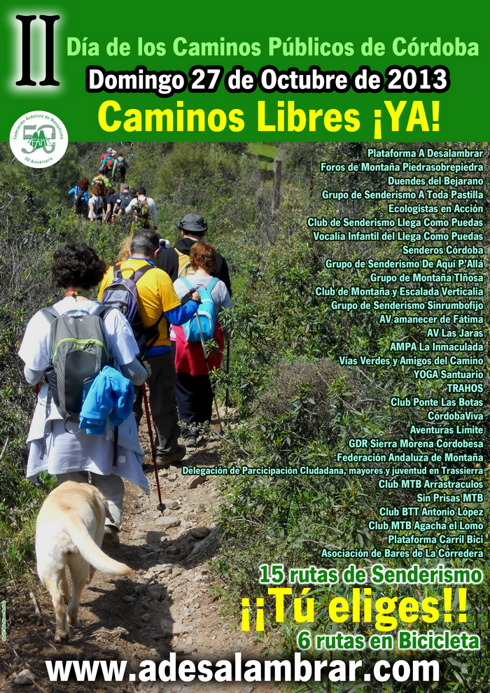 cartel-dia-caminos-2013 peq