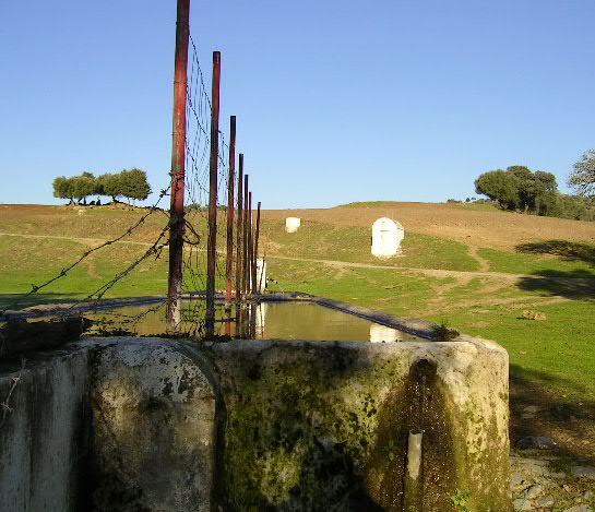 Fuente de Porronales