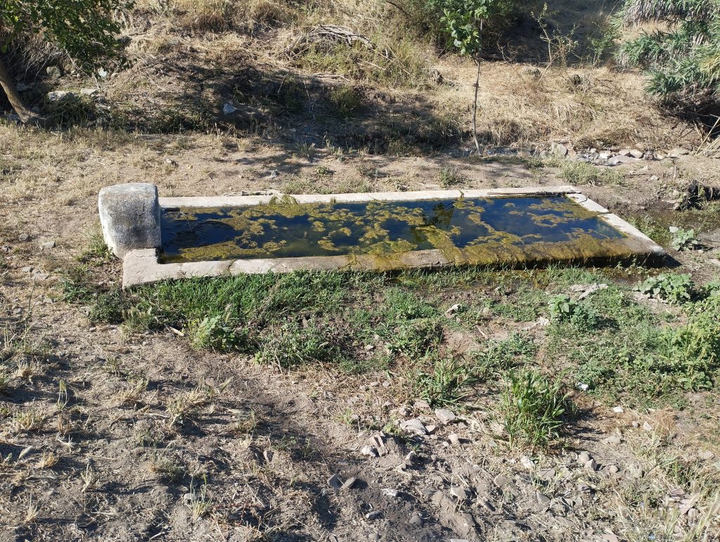 Alcubilla y Fuente del Gallo en Valenzoneja
