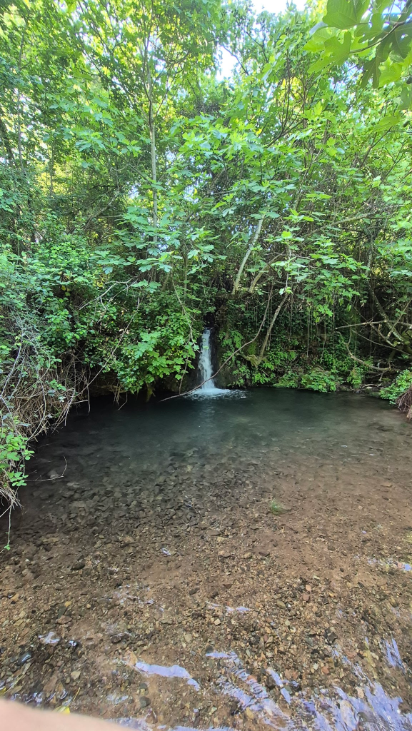Mapa del sendero de la reserva fluvial del Bejarano